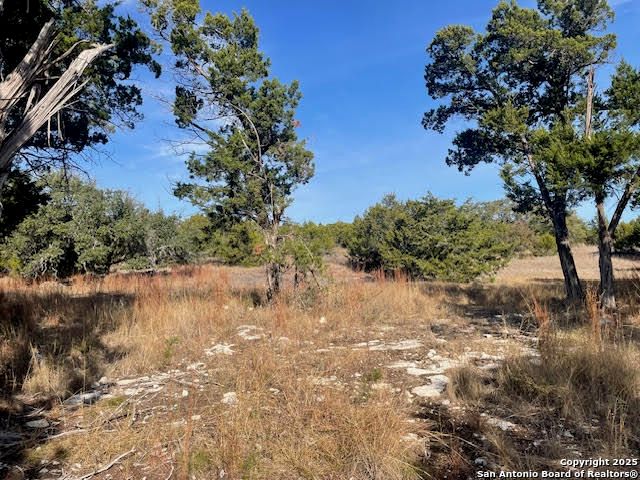 426 Coneflower Dr, Spring Branch, TX 78070