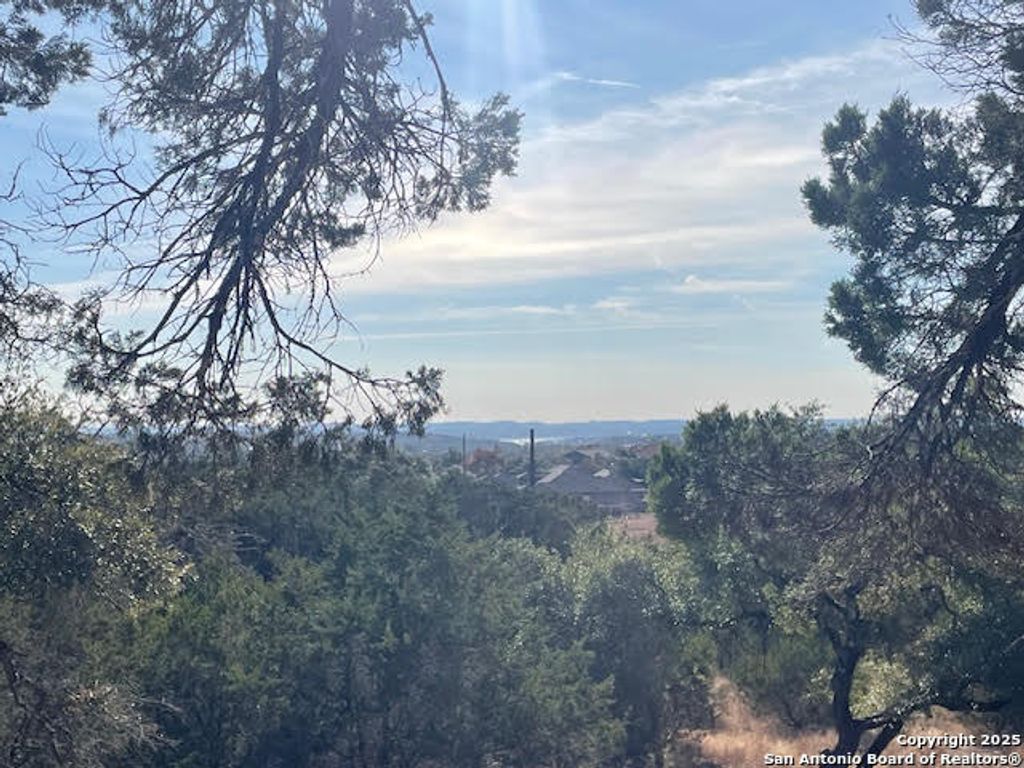 426 Coneflower Dr, Spring Branch, TX 78070