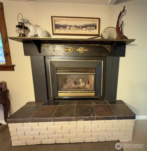 111 N Mount Church Drive, Hoodsport, WA 98548