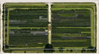 169XX SW 170 AVE, Unincorporated Dade County, FL 33187