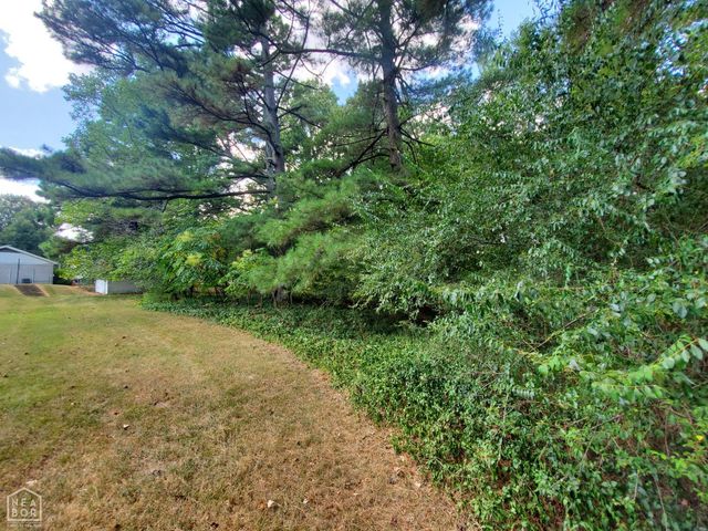 1287 W North Street, Piggott, AR 72454