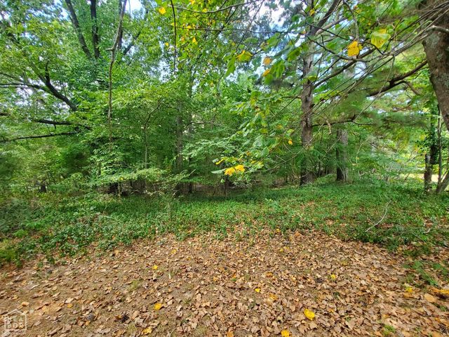 1287 W North Street, Piggott, AR 72454