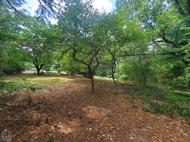 1287 W North Street, Piggott, AR 72454