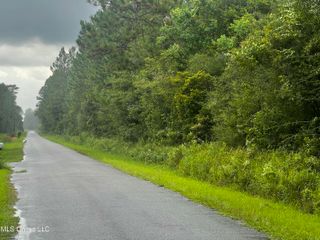 17 Ac Slash Pine Road, Moss Point, MS 39562