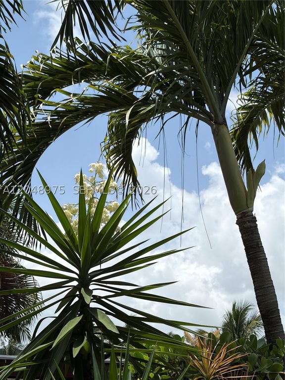 Image 7 of property listing at 1401 Argonaut Isle, Dania Beach, FL 33004