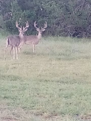 31910 Blanco, Bulverde, TX 78163