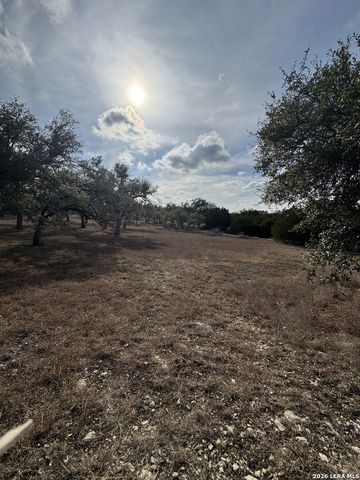 31910 Blanco, Bulverde, TX 78163