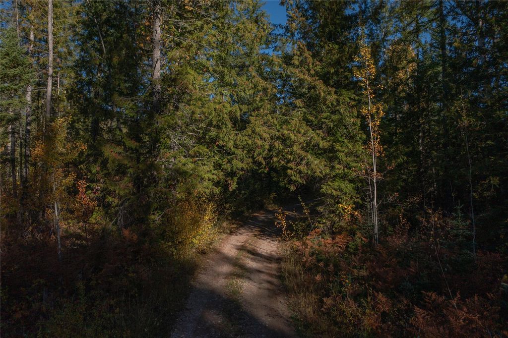 NHN Kelly Mountain Road, Columbia Falls, MT 59912 photo 10