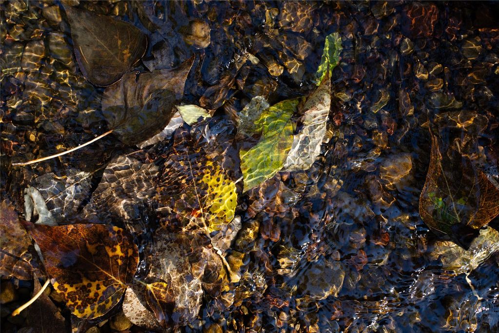 NHN Kelly Mountain Road, Columbia Falls, MT 59912 photo 13