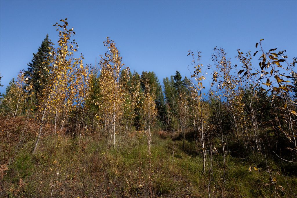 NHN Kelly Mountain Road, Columbia Falls, MT 59912 photo 16