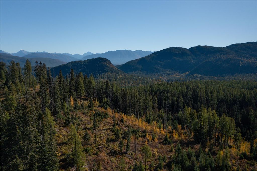 NHN Kelly Mountain Road, Columbia Falls, MT 59912 photo 21