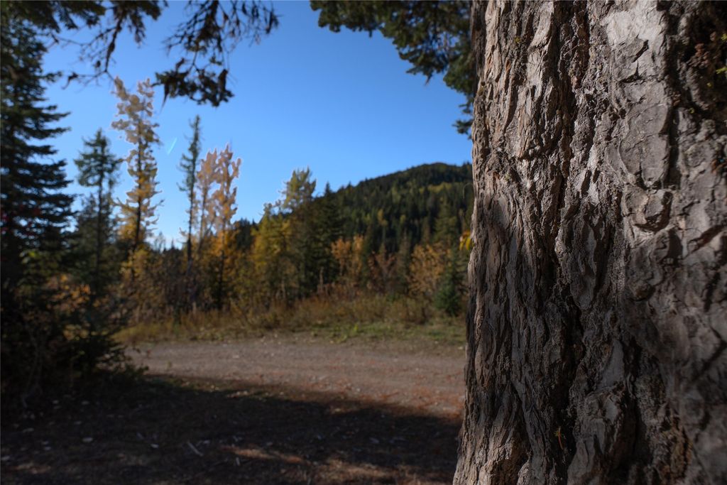 NHN Kelly Mountain Road, Columbia Falls, MT 59912 photo 22