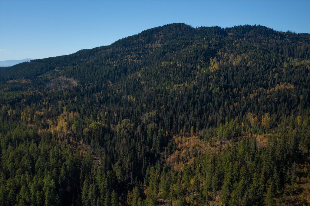 NHN Kelly Mountain Road, Columbia Falls, MT 59912 photo 23