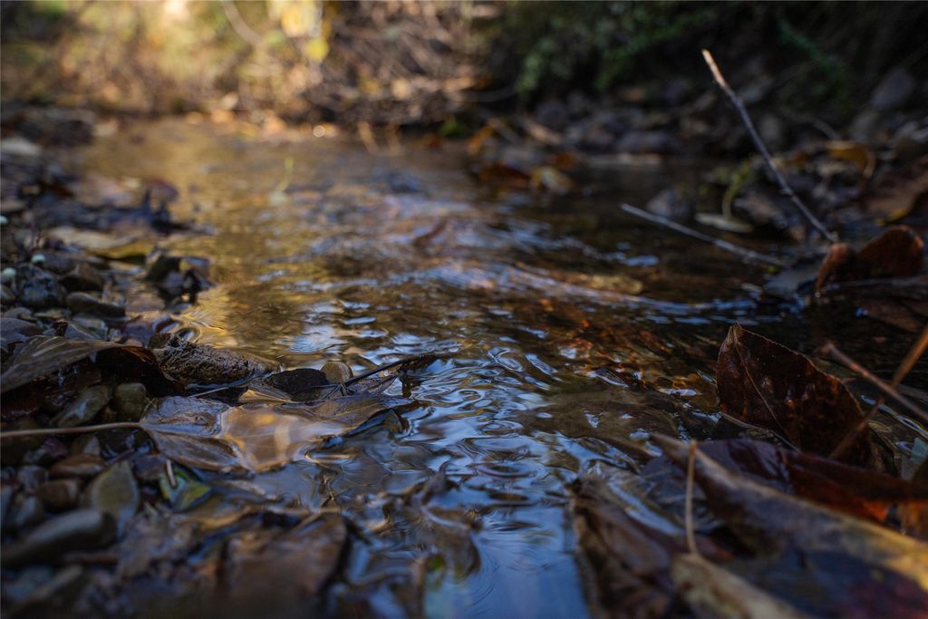 NHN Kelly Mountain Road, Columbia Falls, MT 59912 photo 4