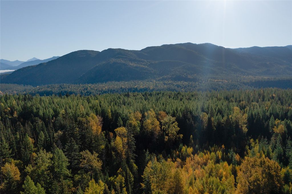 NHN Kelly Mountain Road, Columbia Falls, MT 59912 photo 5