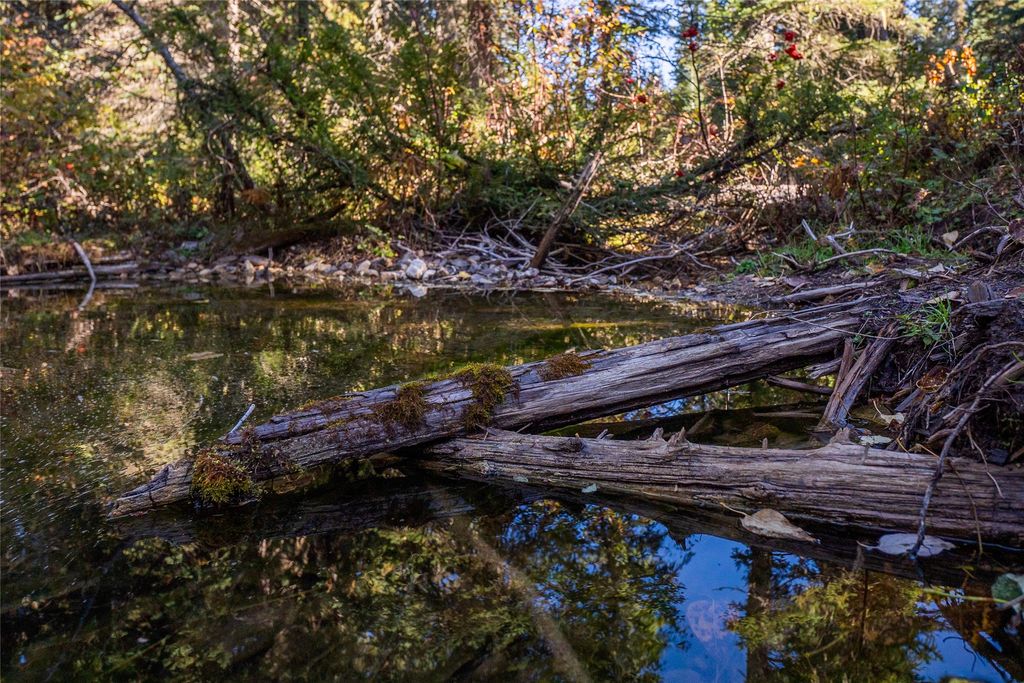 NHN Kelly Mountain Road, Columbia Falls, MT 59912 photo 6