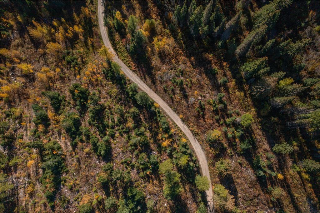 NHN Kelly Mountain Road, Columbia Falls, MT 59912 photo 8