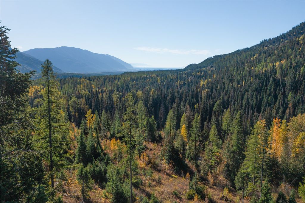 NHN Kelly Mountain Road, Columbia Falls, MT 59912 photo 9