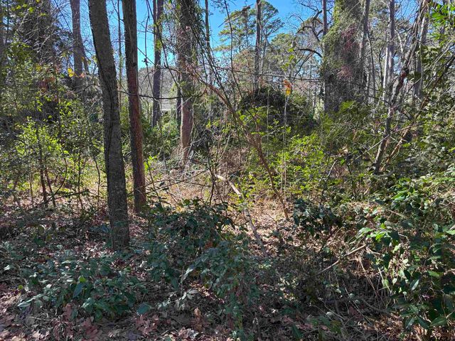 lot 17 Greenwood Trl, Bullard, TX 75757