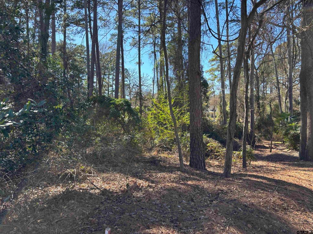 lot 17 Greenwood Trl, Bullard, TX 75757