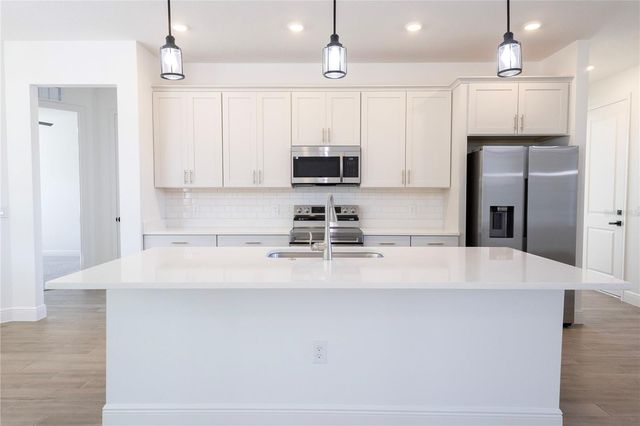 10735 PHILIPS LANDING COURT, Webster, FL 33597