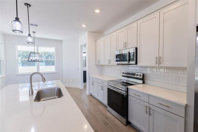 10735 PHILIPS LANDING COURT, Webster, FL 33597