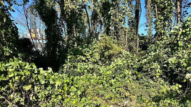 0 Forest Road, Lynchburg, VA 24502