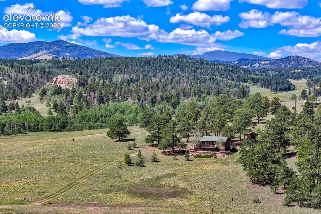 189 Saddle Lane, Lake George, CO 80827 — photo 3
