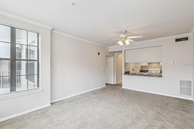 911 N ORANGE AVENUE 438, Orlando, FL 32801