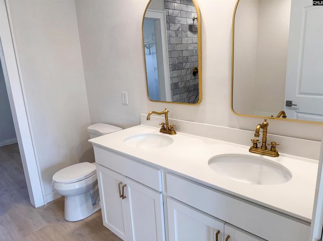 1615 Birch Grain Road, Chapin, SC 29036