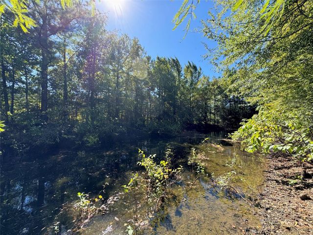 9596 State Highway 146 S, Livingston, TX 77351