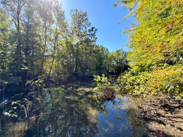 9596 State Highway 146 S, Livingston, TX 77351