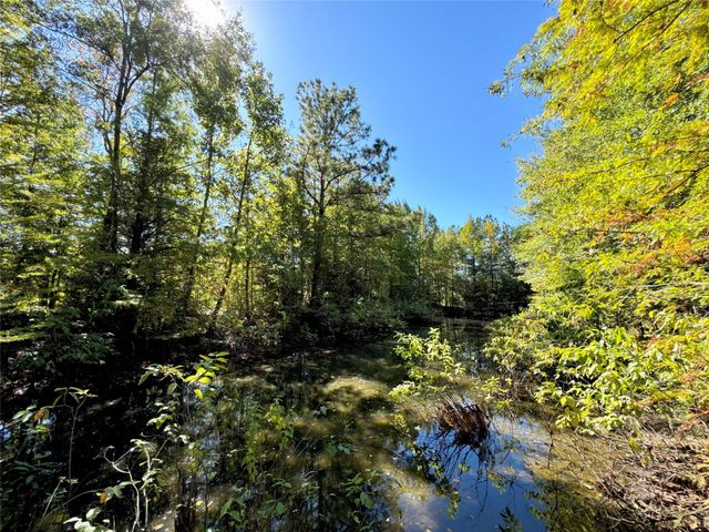 9596 State Highway 146 S, Livingston, TX 77351