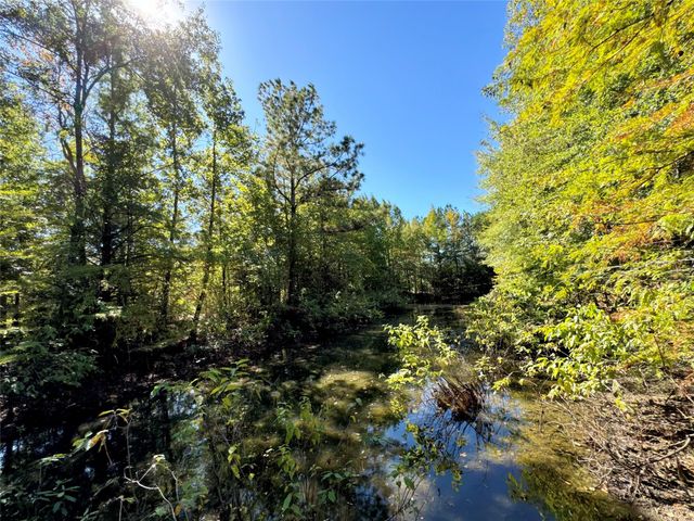 9596 State Highway 146 S, Livingston, TX 77351