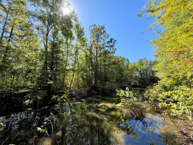 9596 State Highway 146 S, Livingston, TX 77351