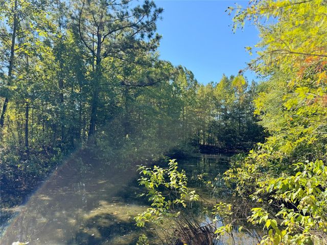 9596 State Highway 146 S, Livingston, TX 77351