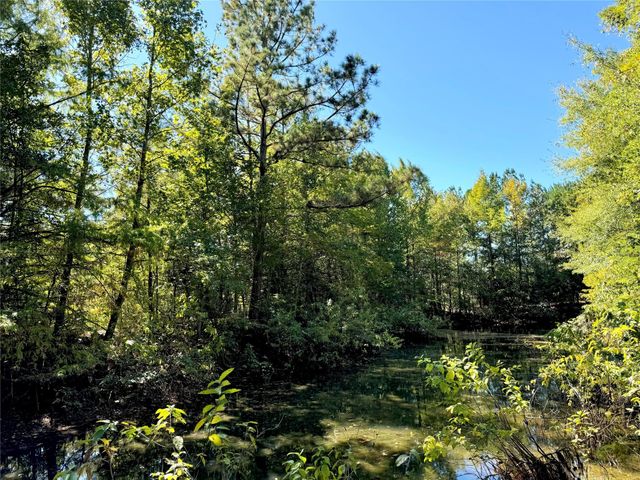 9596 State Highway 146 S, Livingston, TX 77351