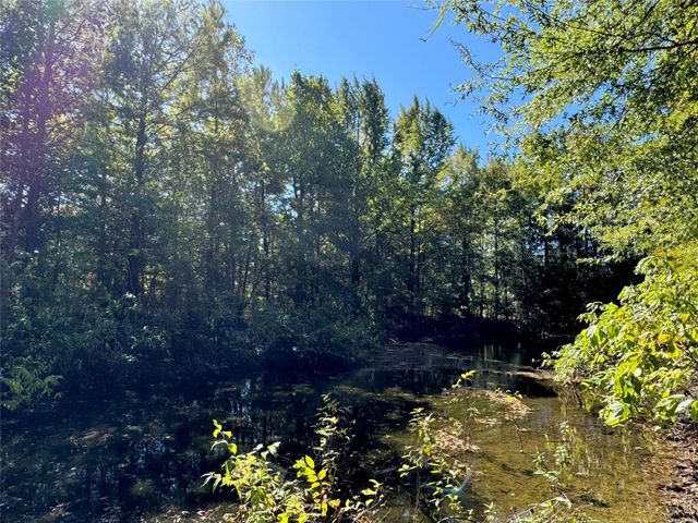 9596 State Highway 146 S, Livingston, TX 77351