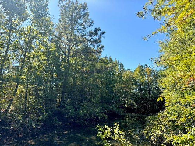 9596 State Highway 146 S, Livingston, TX 77351