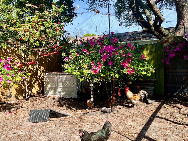 621 Sea Oats Drive, Destin, FL 32541