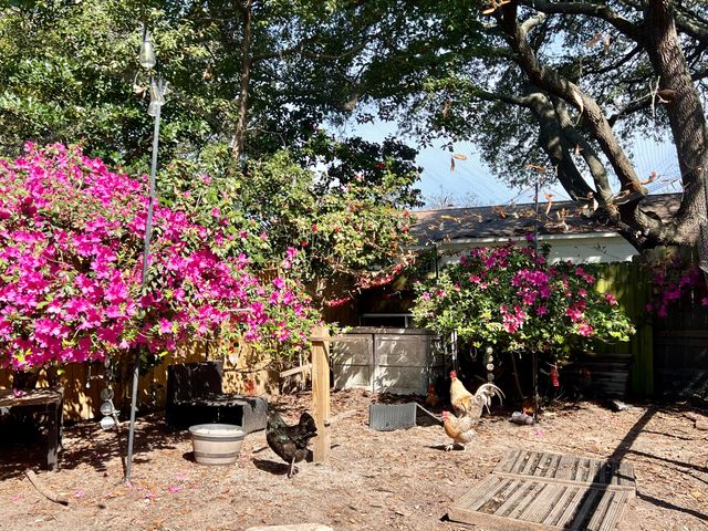 621 Sea Oats Drive, Destin, FL 32541