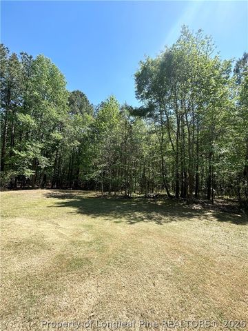 110 Kinton Drive, Willow Springs, NC 27592