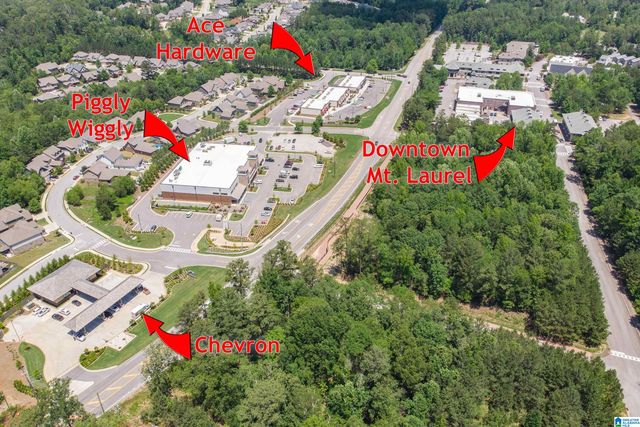 53 BURNHAM STREET, Birmingham, AL 35242