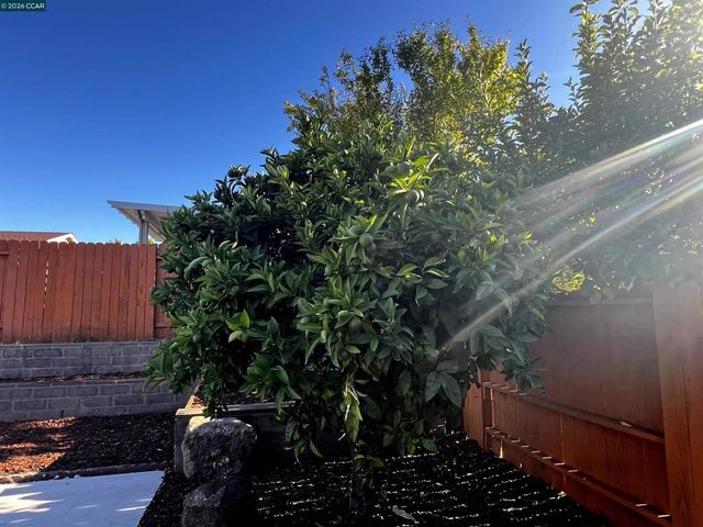 1116 Langlie Way, Rodeo, CA 94572