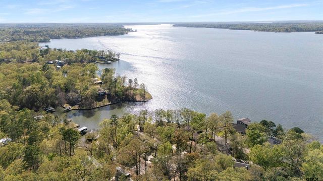 358 CR 2610, Pittsburg, TX 75686