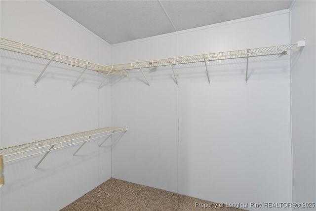 7029 Hypony Trail, Parkton, NC 28371