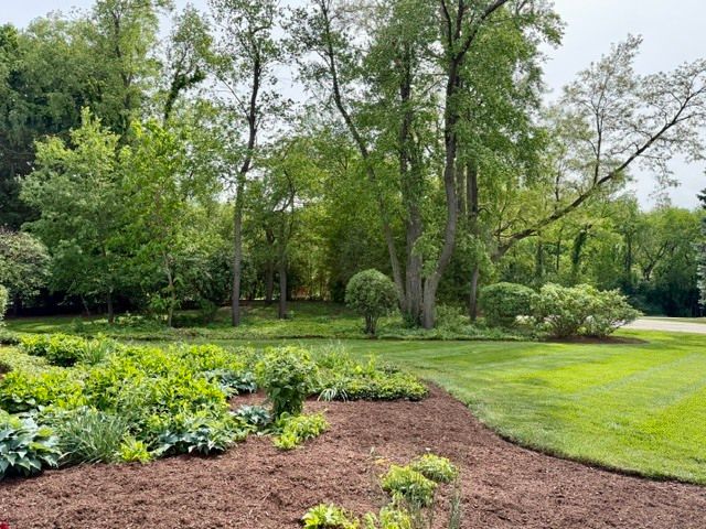 11N071 Johnstown Road, Elgin, IL 60124