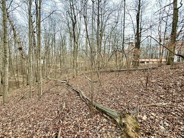 1 Woodland Way, Estill Springs, TN 37330