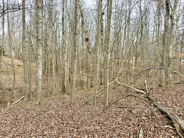 1 Woodland Way, Estill Springs, TN 37330