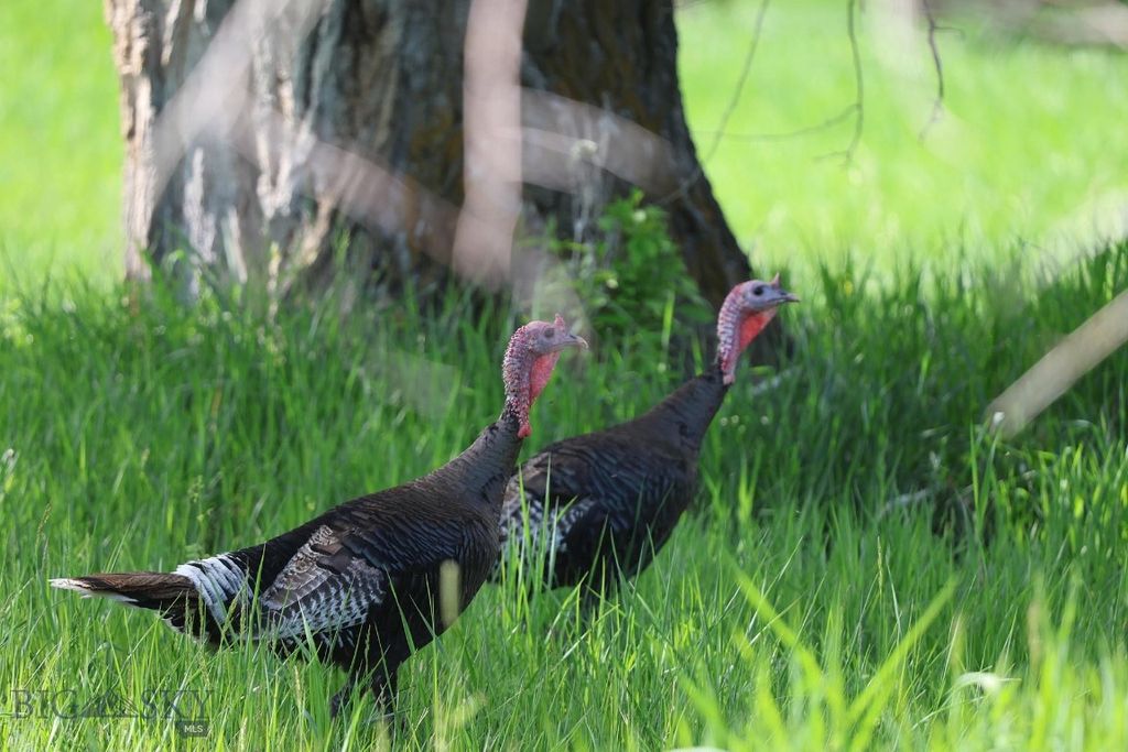 5191 Old Yellowstone Trail, Three Forks, MT 59752 photo 10